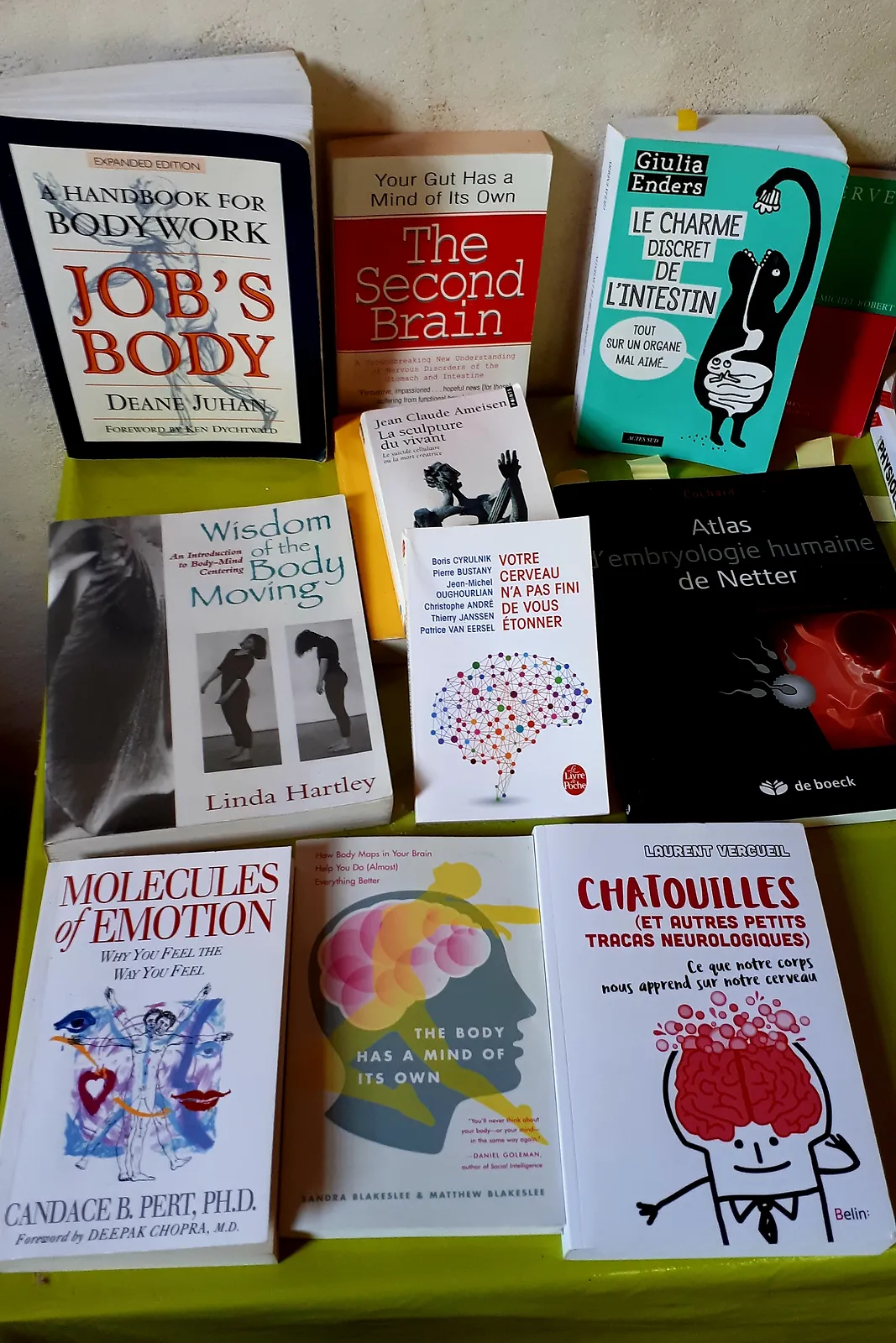 Body Mind Centering à Nantes | BMC Nantes | Rencontre professionnelle | À Corps Libre